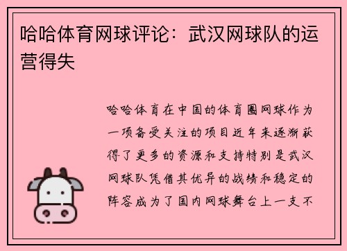 哈哈体育网球评论：武汉网球队的运营得失